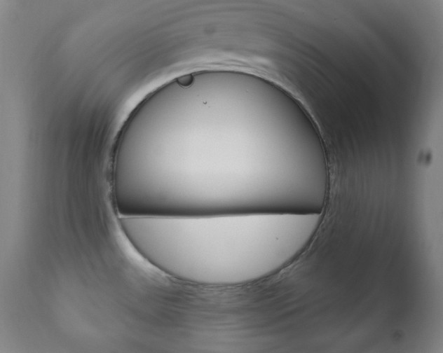 X0000110941531200906191038