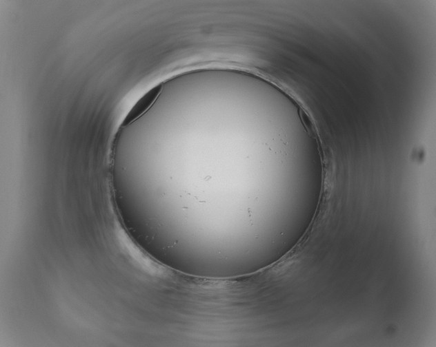 X0000110941532200906191038