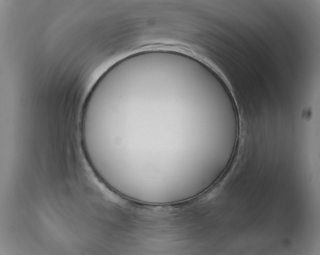 X0000110941533200906191038