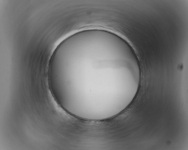 X0000110941534200906191038