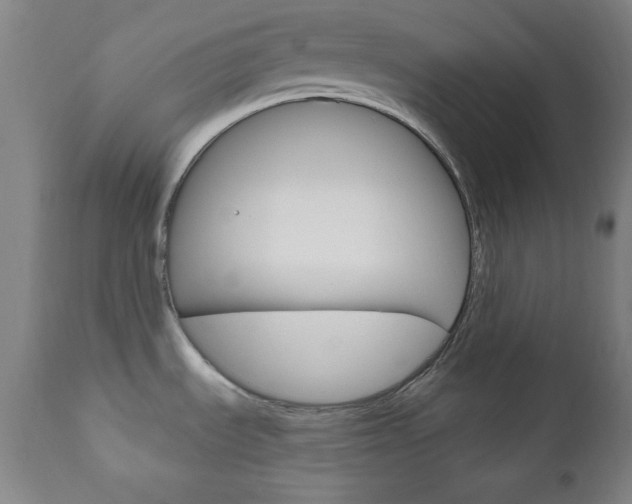 X0000110941535200906191038