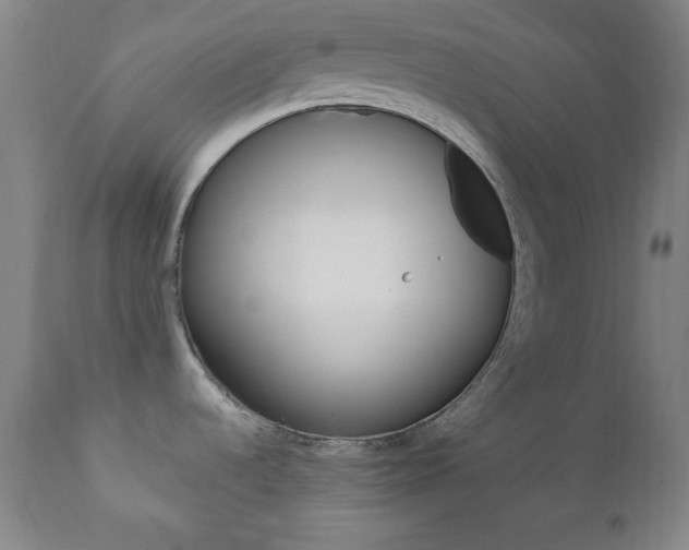 X0000110941536200906191038