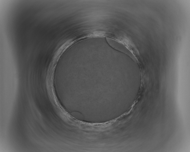 X0000110940001200906191240