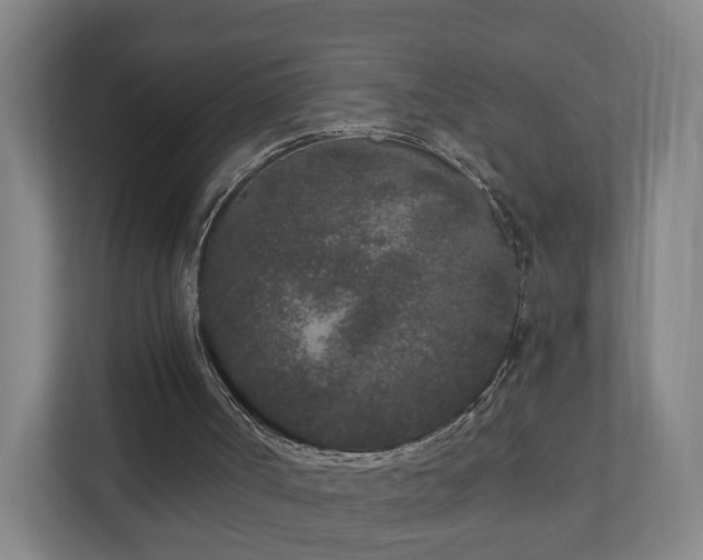 X0000110940002200906191240