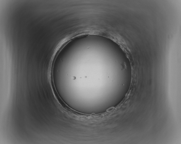 X0000110940003200906191240