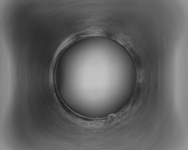 X0000110940004200906191240