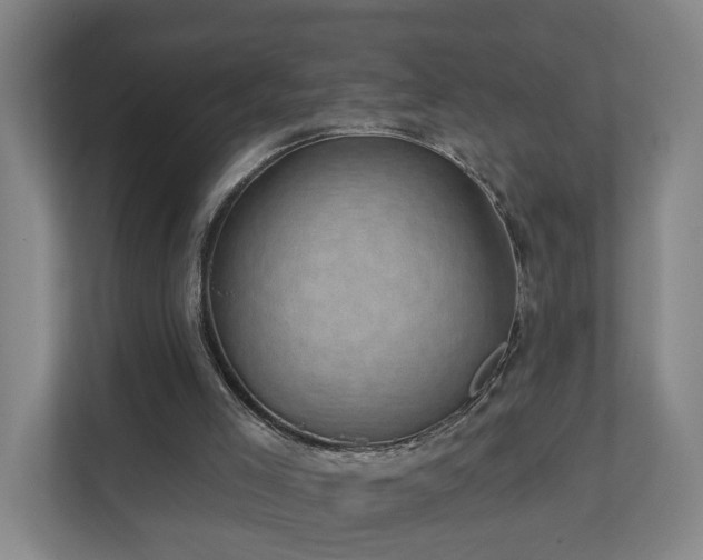 X0000110940005200906191240