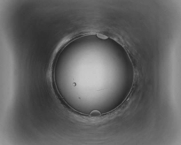 X0000110940006200906191240