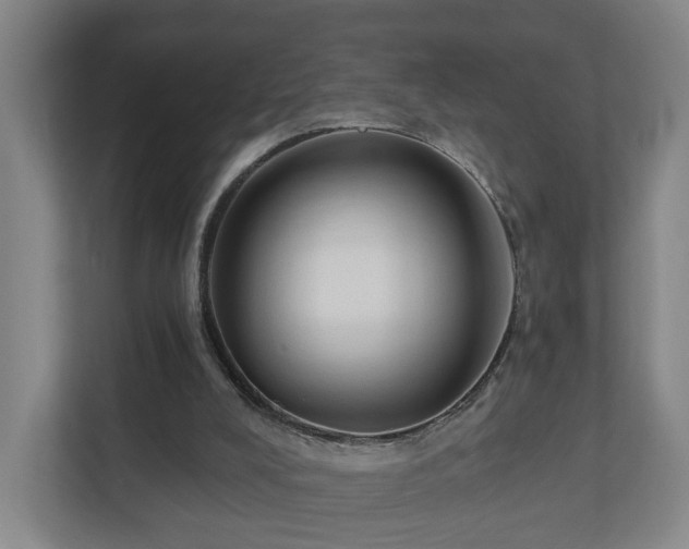 X0000110940008200906191240