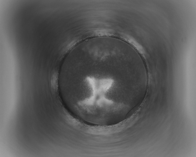 X0000110940009200906191240