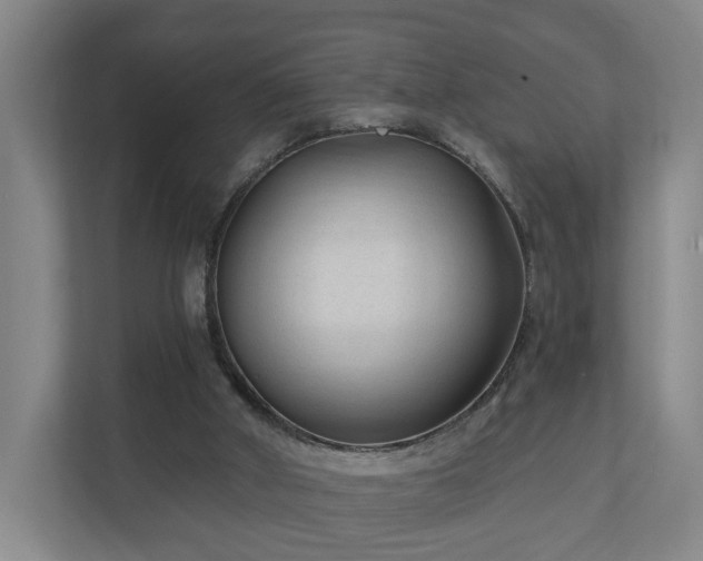 X0000110940010200906191240