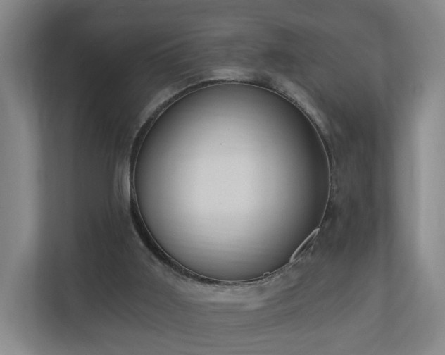 X0000110940011200906191240