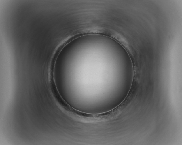 X0000110940012200906191240