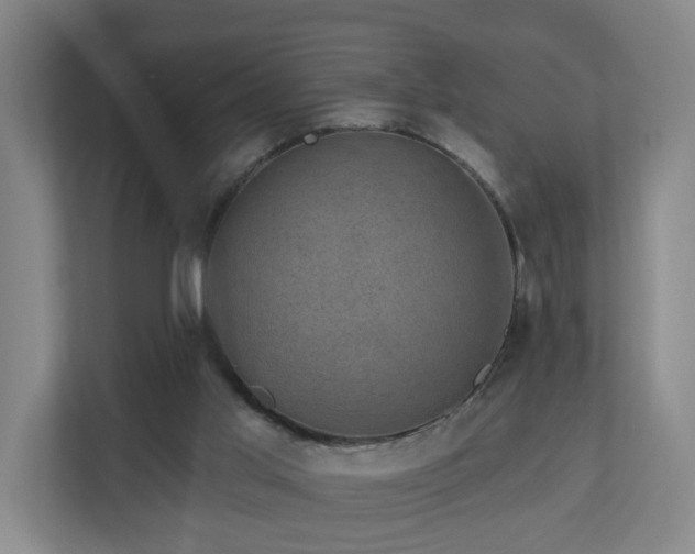 X0000110940013200906191240