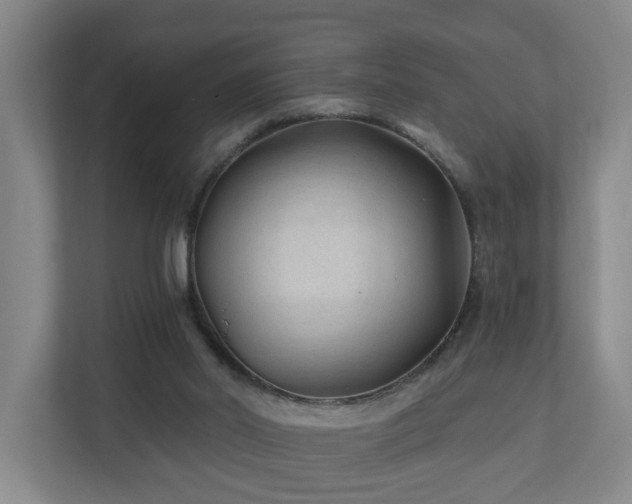 X0000110940014200906191240