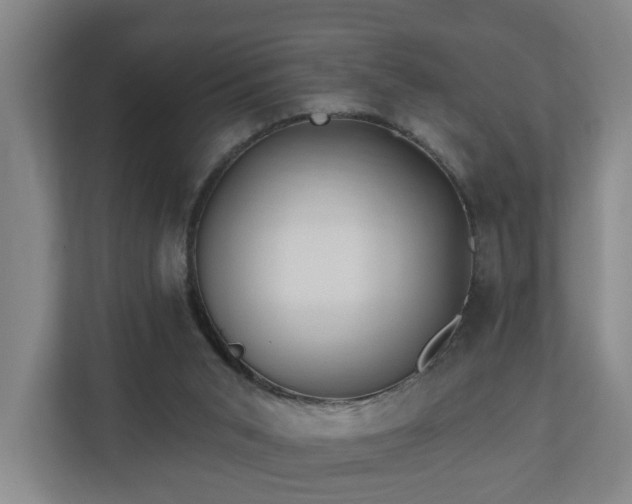 X0000110940015200906191240