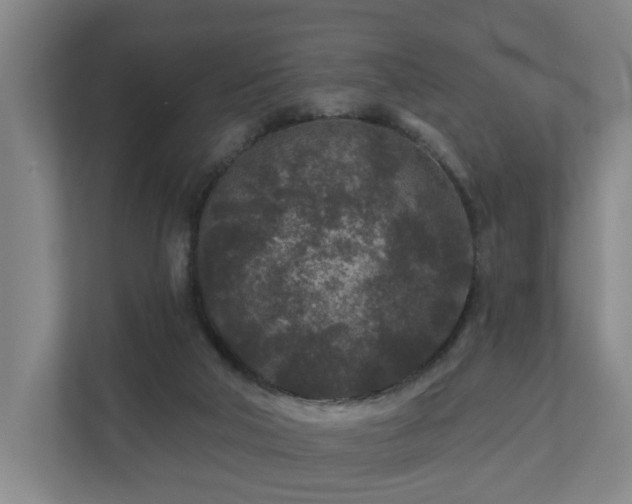 X0000110940018200906191240