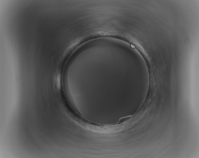 X0000110940019200906191240