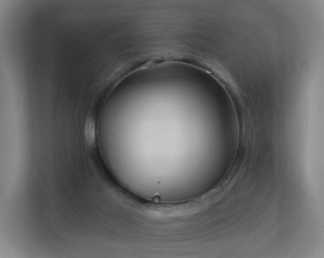 X0000110940021200906191239