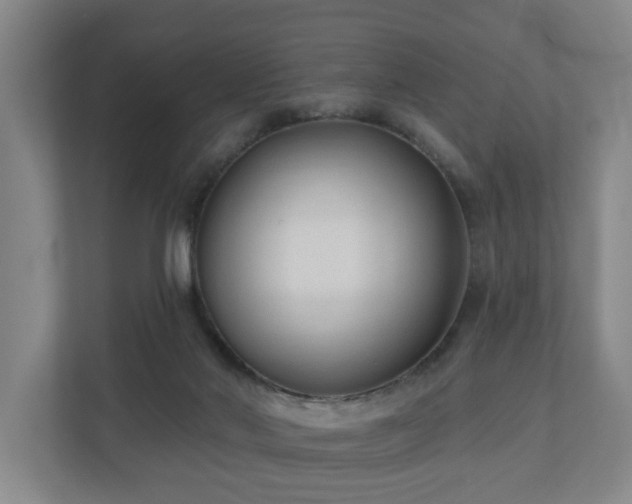 X0000110940022200906191239