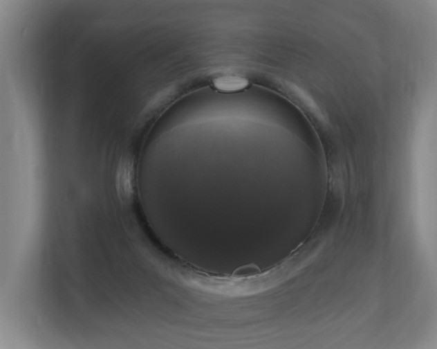 X0000110940023200906191239