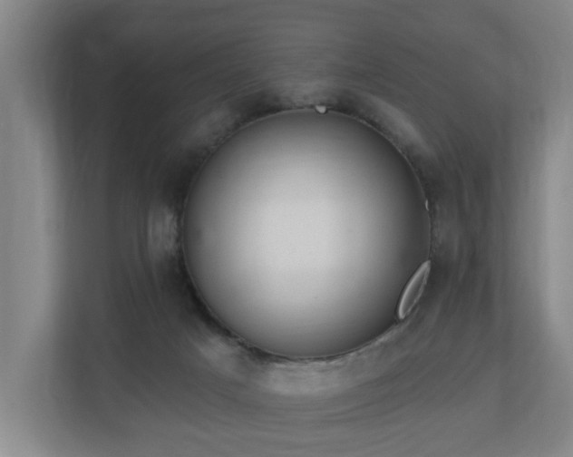 X0000110940025200906191239