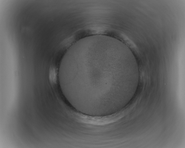 X0000110940026200906191239