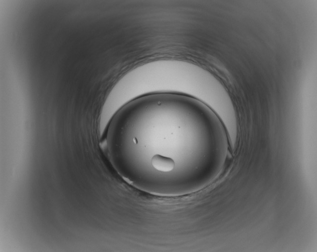 X0000110940029200906191239