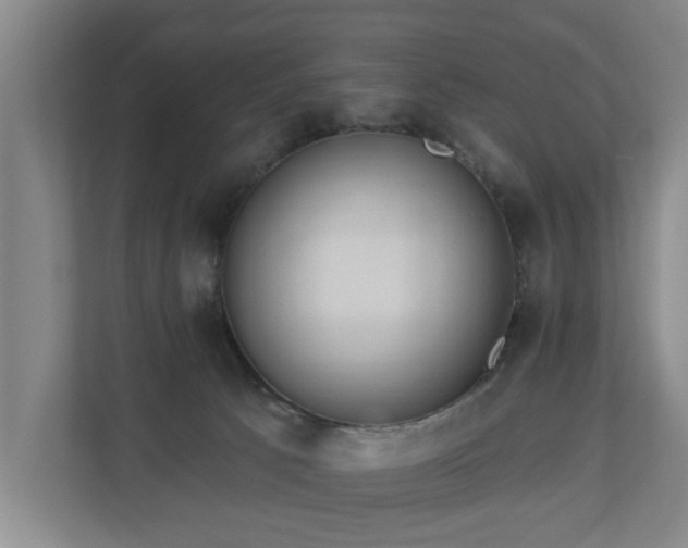 X0000110940033200906191239