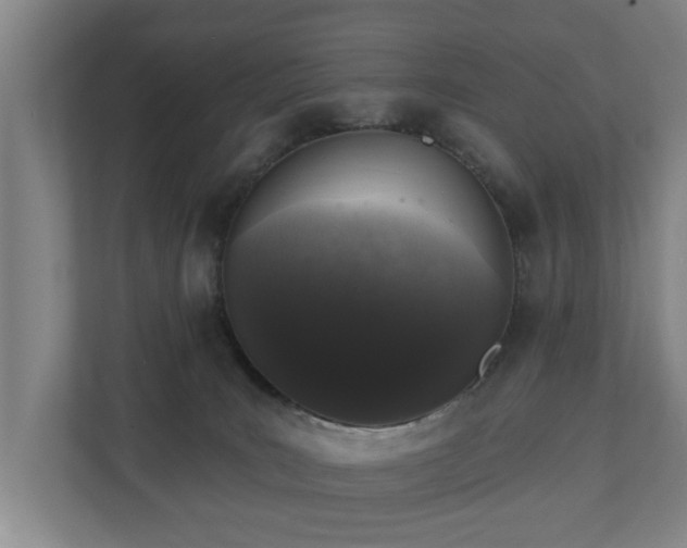 X0000110940035200906191239