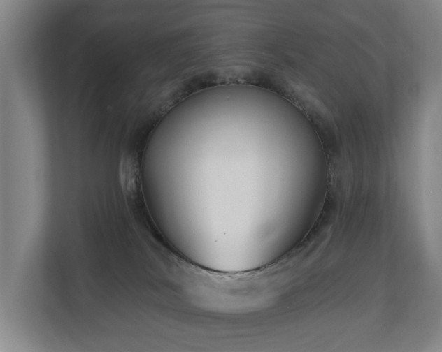 X0000110940038200906191239