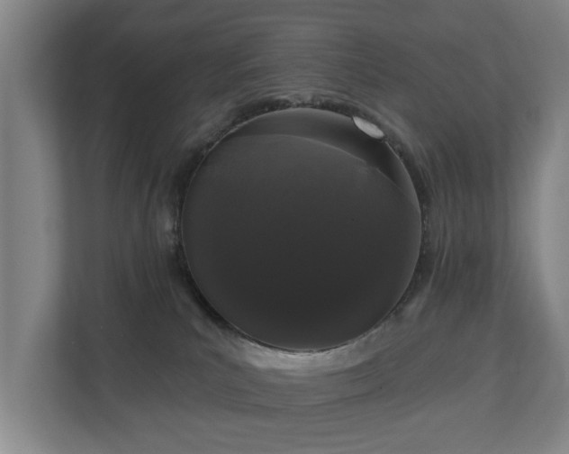 X0000110940039200906191239