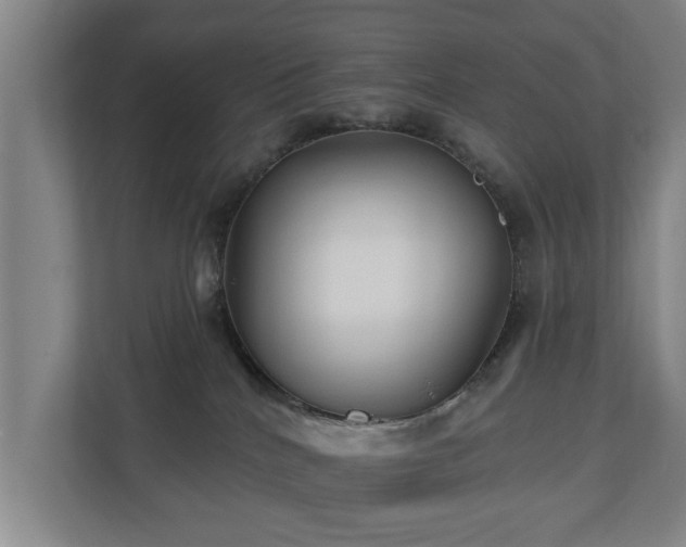 X0000110940040200906191239