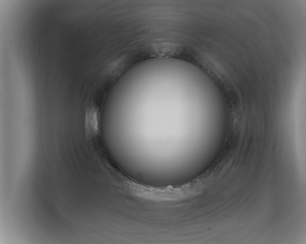 X0000110940042200906191239