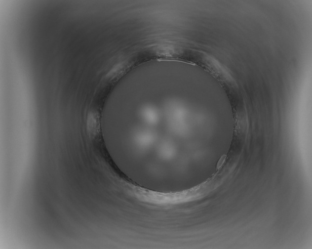 X0000110940043200906191239