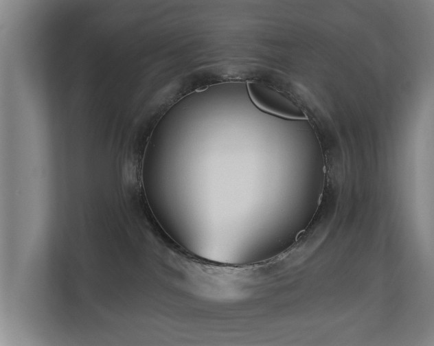 X0000110940044200906191239