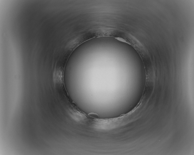 X0000110940045200906191239