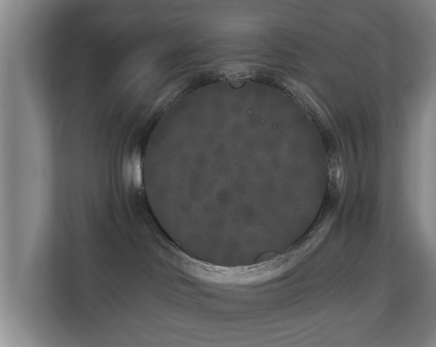 X0000110940046200906191239