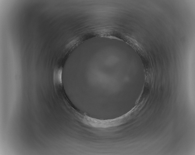 X0000110940047200906191239