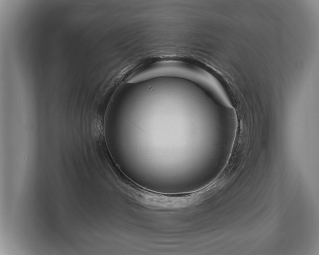 X0000110940048200906191239