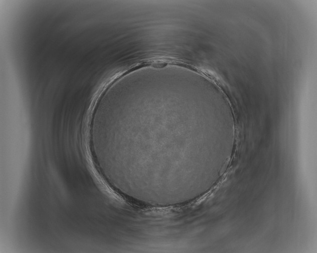 X0000110940049200906191239