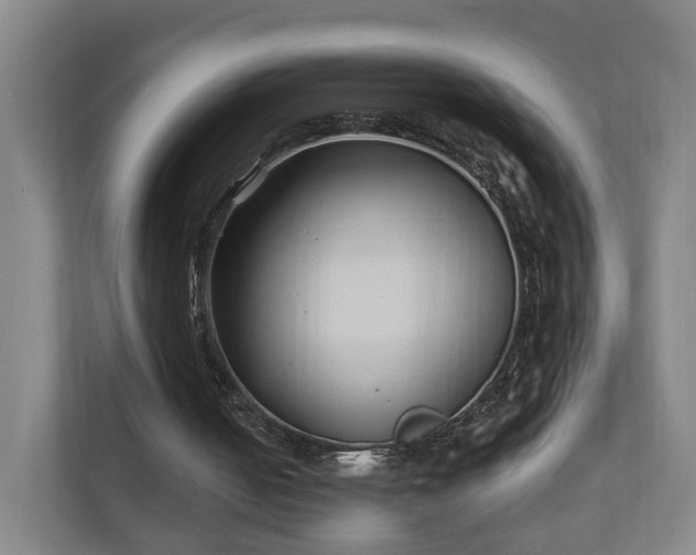 X0000110940050200906191239