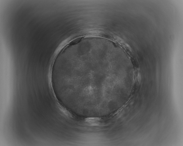 X0000110940051200906191239