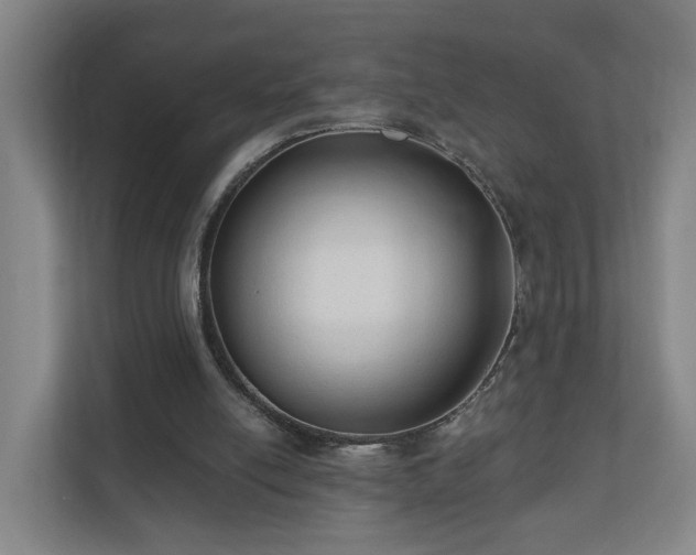 X0000110940054200906191239