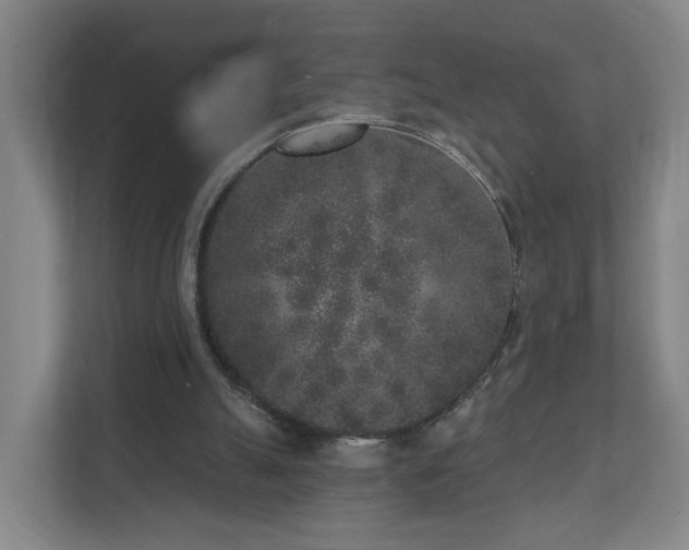 X0000110940055200906191239