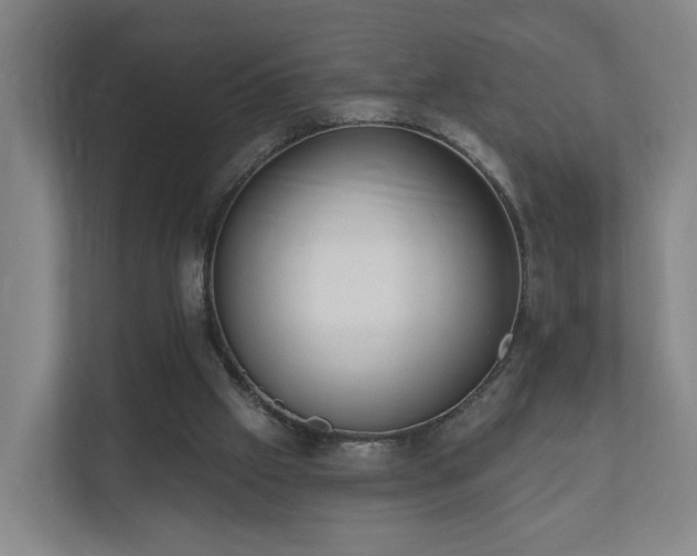 X0000110940057200906191239