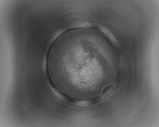 X0000110940058200906191239