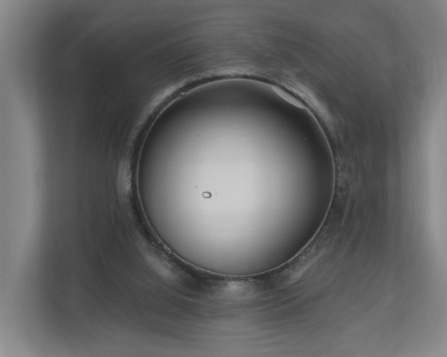 X0000110940060200906191239