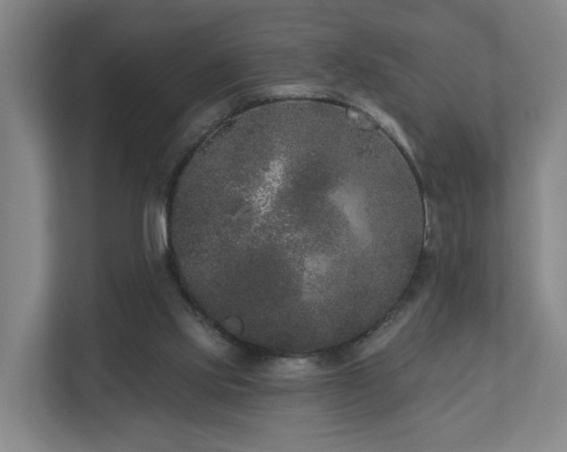 X0000110940061200906191239