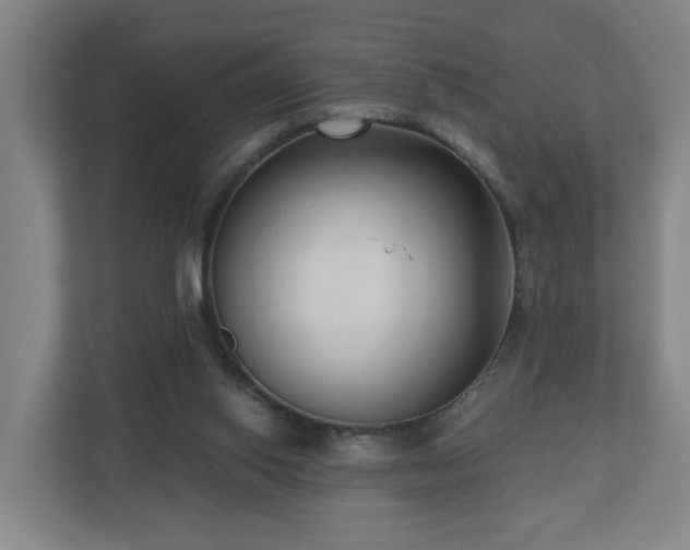 X0000110940062200906191239